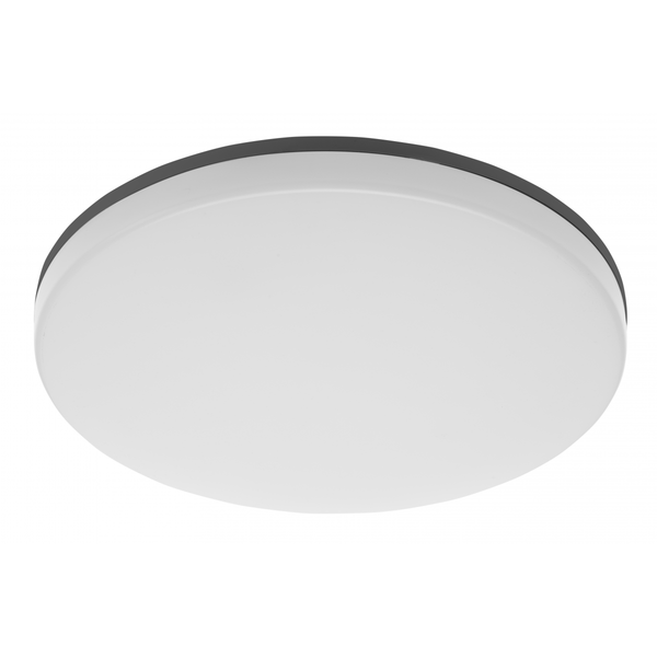 LED luminaire BESA, 24 W, 2400 lm, 4000K, AC180-250V, IP54, IK10, PC+PC, round, dimmable, black image 1