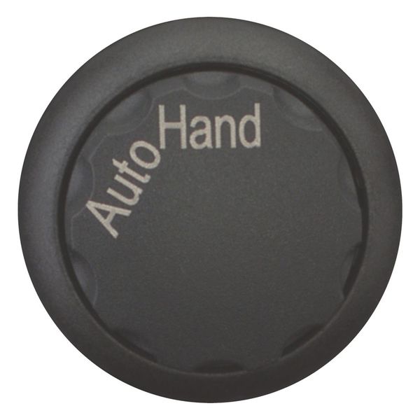 M22S-WR-X91 Changeover switch, RMQ-Titan, With rotary head, maintained, 2 positions, inscribed, Bezel: black, AUTO HAND image 8