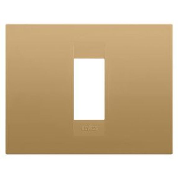 GEO PLATE - IN PAINTED TECHNOPOLYMER - 1 MODULE - GOLD - CHORUSMART image 1