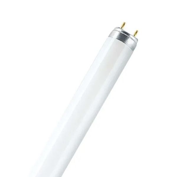 Fluorescent Tube G13 18W/880 T8 PATRON image 1