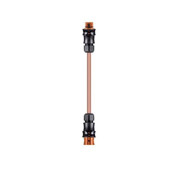 CABLE ASSEMBLY RST20I4KSBS 25OL 30BR0 image 1