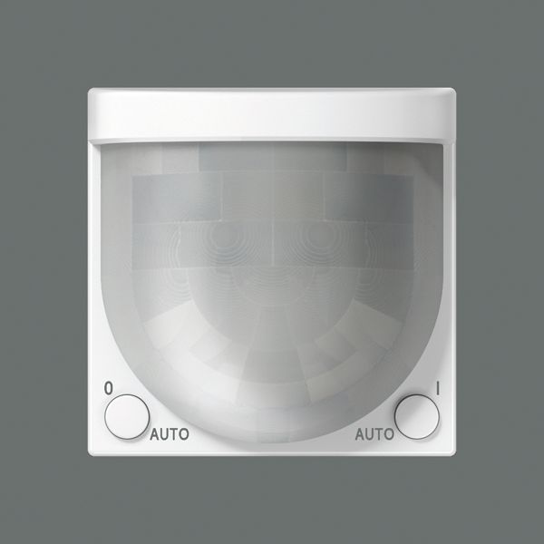 Universal automatic switch 2,20 m A3281-1WW image 3