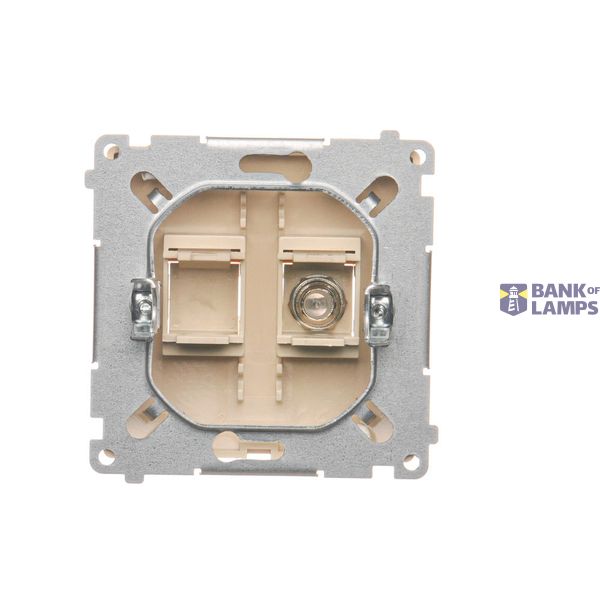 IP20 two-circuit switch, LED illuminated, 10AX, graphite mat image 1