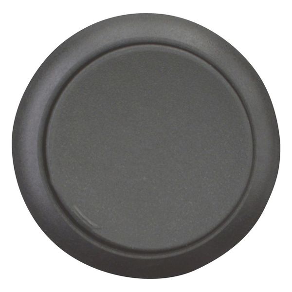 M22S-DH-S Pushbutton, RMQ-Titan, Extended, momentary, black, Blank, Bezel: black image 9