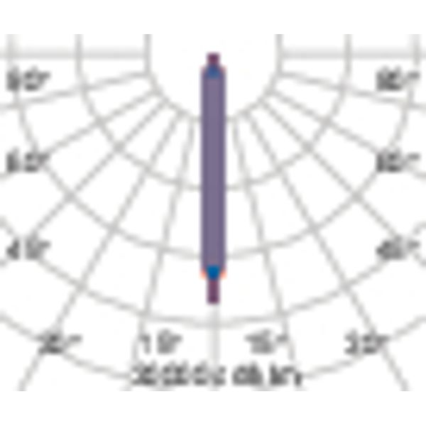 CRICKET+ 10 5 C/I 927 MARINE image 7