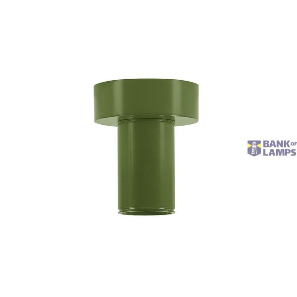 FITU, ceiling light, A60, fern-green, with R2 canopy image 1