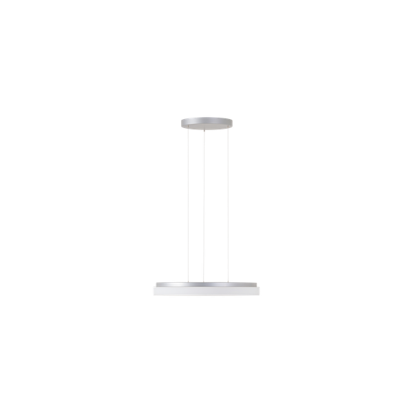 LED-1L20E1000ZLEN96/426/L100 S DALI 4K image 1