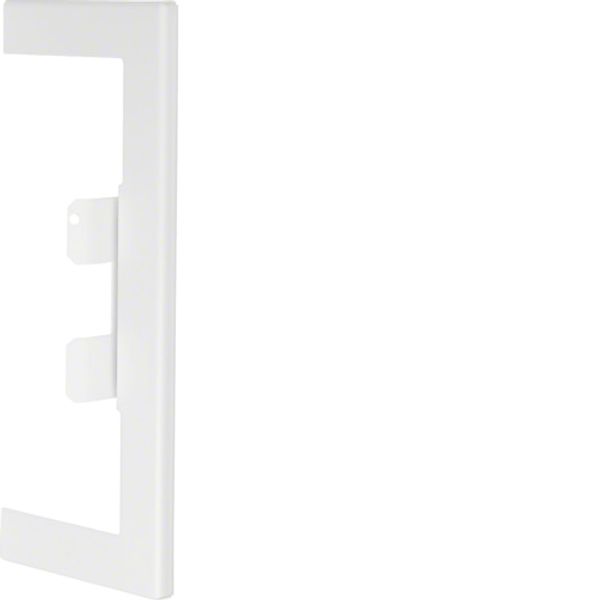 Wall cover plate for BRS 68x170mm lid 80mm of sheet steel in pure white image 1