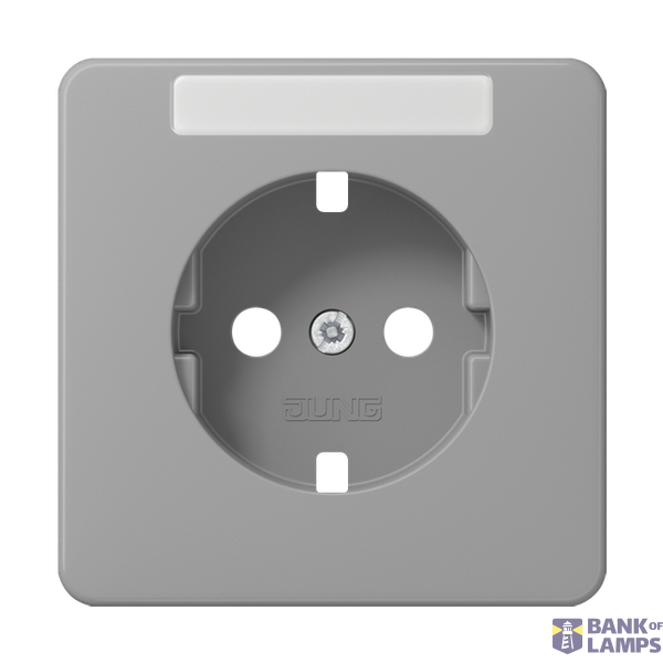 Central plate for SCHUKO® sockets with labeling field, CD series, grey image 1
