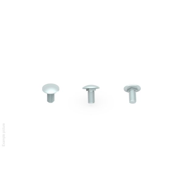 ROUND HEAD SCREW WITH SQUARE UNDERHEAD D0C10A08X17E image 1