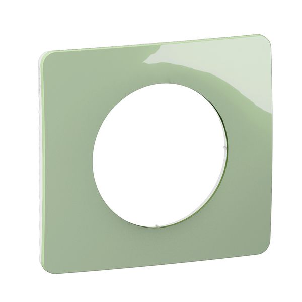 PLATE 1 GANG CELADON GREEN image 3