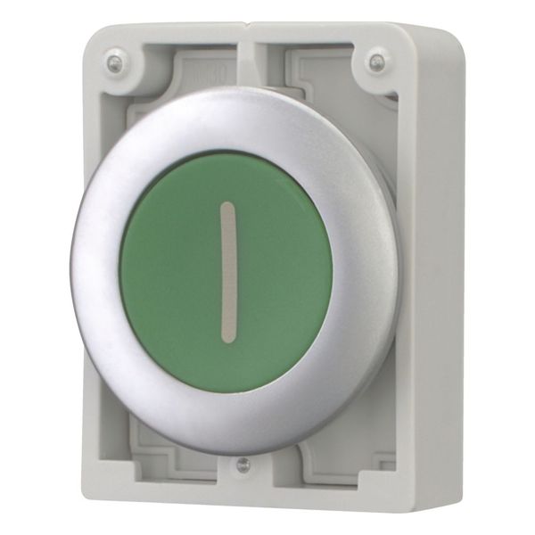 M30C-FD-G-X1 Pushbutton, RMQ-Titan, Flat, momentary, green, inscribed, Metal bezel image 6