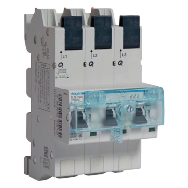 SLS Switch 3 Pole Cs Characteristic 40A for Busbar QuickConnect image 1