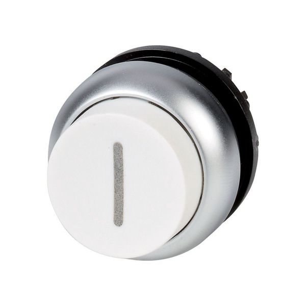 M22-DRH-W-X1 Pushbutton, RMQ-Titan, Extended, maintained, White, inscribed, Bezel: titanium image 8