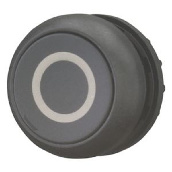 M22S-DR-S-X0 Pushbutton, RMQ-Titan, Flat, maintained, black, inscribed, Bezel: black image 2