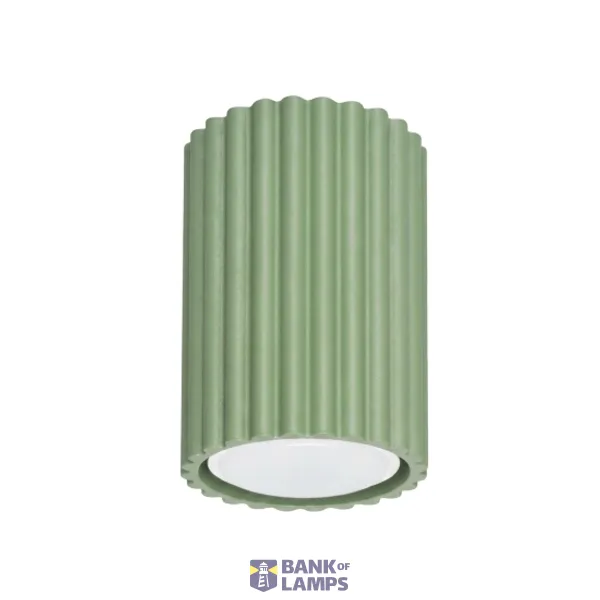Ceiling lamp KARBON 10 sage image 1