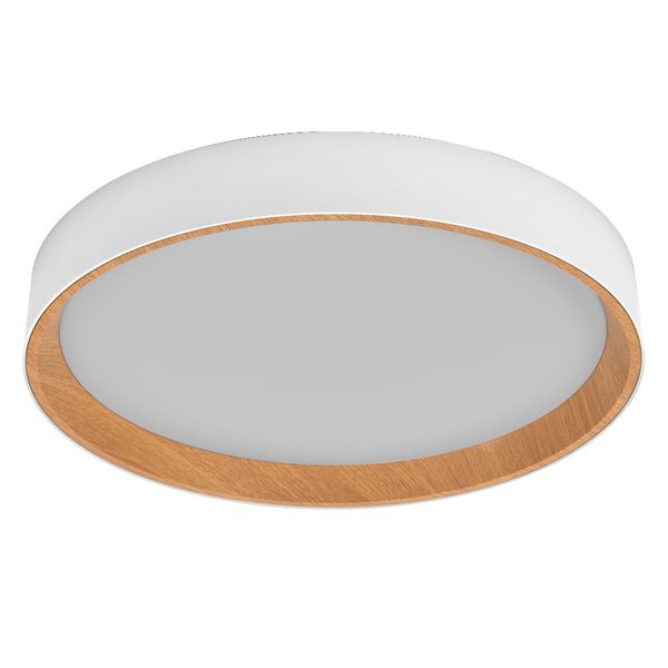 ORBIS LARIOS 490 36W 830CLICKD WDWTOSRAM image 1