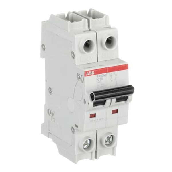 S202MR-K1 Miniature Circuit Breaker - 2P - K - 1 A image 4