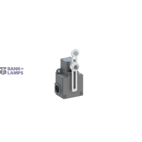 LS72M53B11 Limit Switch image 1