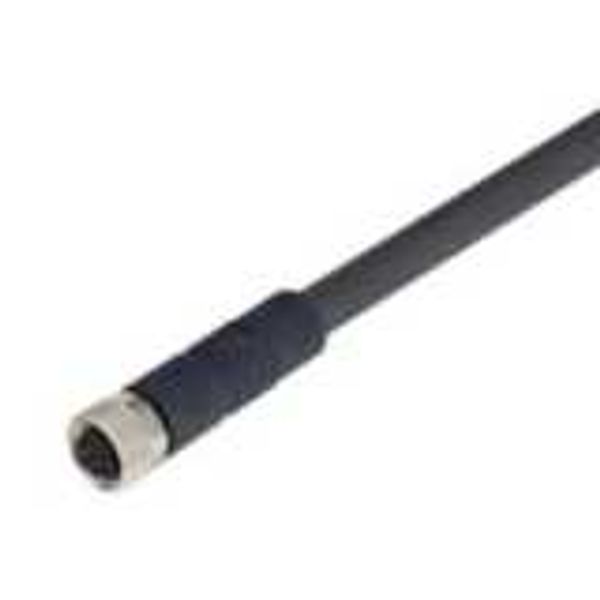 Female cable connector for D41D, straight, screw type M8, 8 poles, PUR D41D8010E image 1