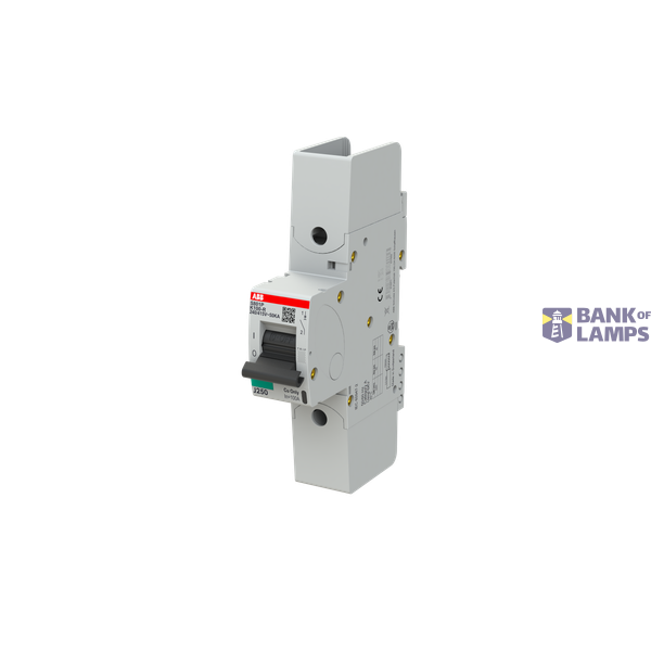 S801P-K100-R circuit breaker image 3