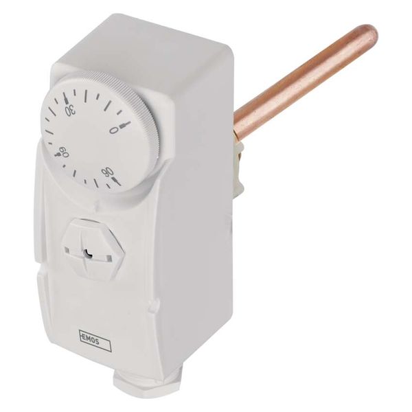 Immersion Thermostat P5685 image 1