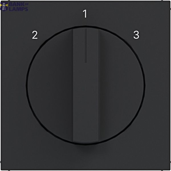 Central plate 3-position switch, A.x/C.x, matte night black image 1