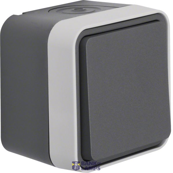 Cross switch AP W.1 grey image 1