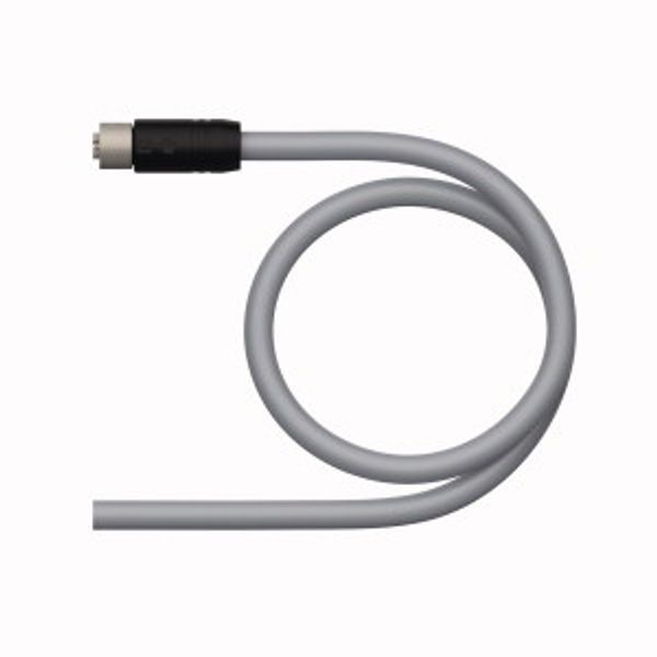 Supply Cable - M12 Power Connection Cable   RKP54PLB-4/TXG image 1