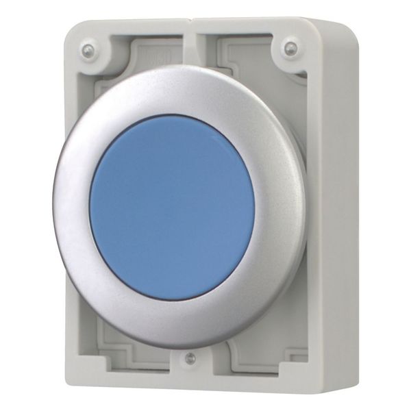 M30C-FDR-B Pushbutton, RMQ-Titan, Flat, maintained, Blue, Blank, Metal bezel image 12