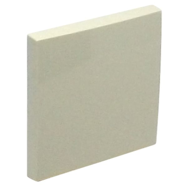 ROCKER FOR SWITCHES IVORY image 2