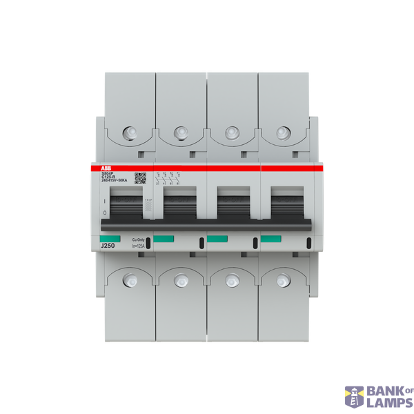S804P-C125-R circuit breaker image 1
