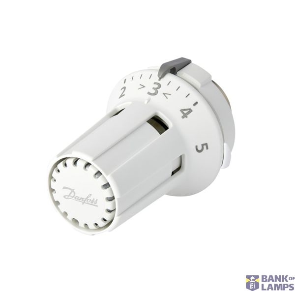 RAW/RTD Sensors, RAW 5126, Liquid, Sensor type: Built-in sensor, 16 °C - 28 °C, RTD image 1