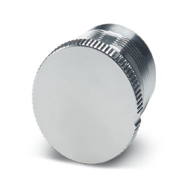 SH-Z2301 - Metal protective cap image 2