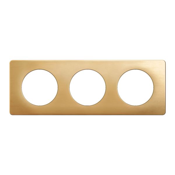 PLATE 3 GANG SATIN BRASS image 6