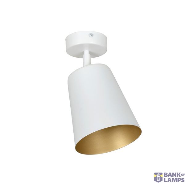 PRISM 1 WHITE / GOLD image 1