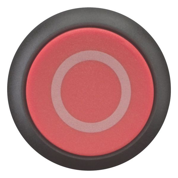 M22S-DH-R-X0 Pushbutton, RMQ-Titan, Extended, momentary, red, inscribed, Bezel: black image 7