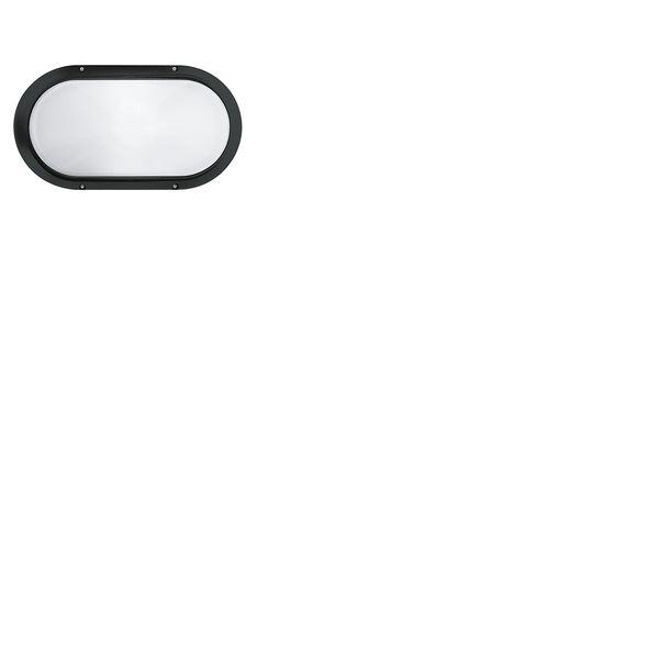 SUPERDELTA OVAL BLACK E27 image 1