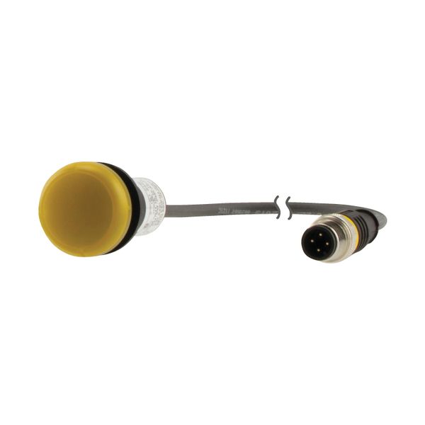 C22-L-Y-24-P3 Indicator light, Flat, Cable (black) with M12A plug, 4 pole, 0.5 m, Lens yellow, LED white, 24 V AC/DC image 6