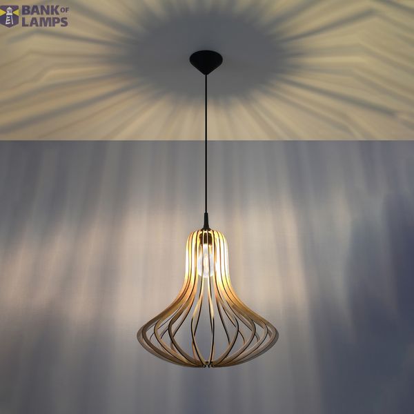 HANGING LAMP ELZA E27 1X60W IP20 image 6