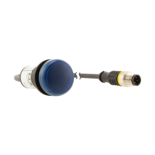 C22-L-B-24-P5 Indicator light, Flat, Cable (black) with M12A plug, 4 pole, 1 m, Lens Blue, LED Blue, 24 V AC/DC image 11