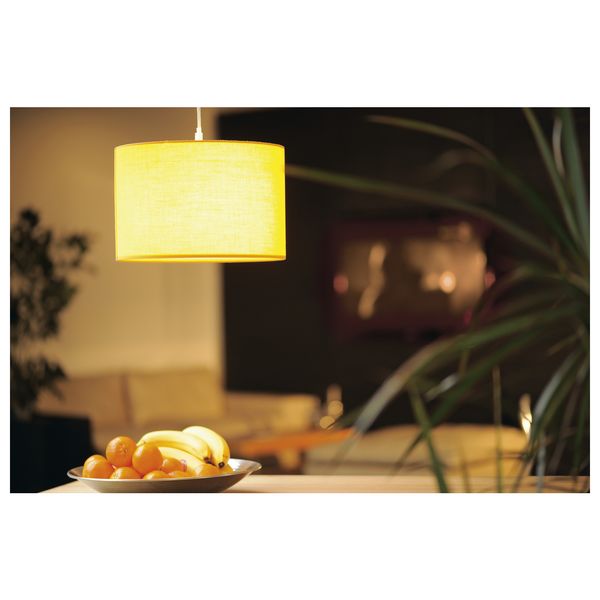 FENDA, E27 Pendulum suspension without screen, chrome image 4