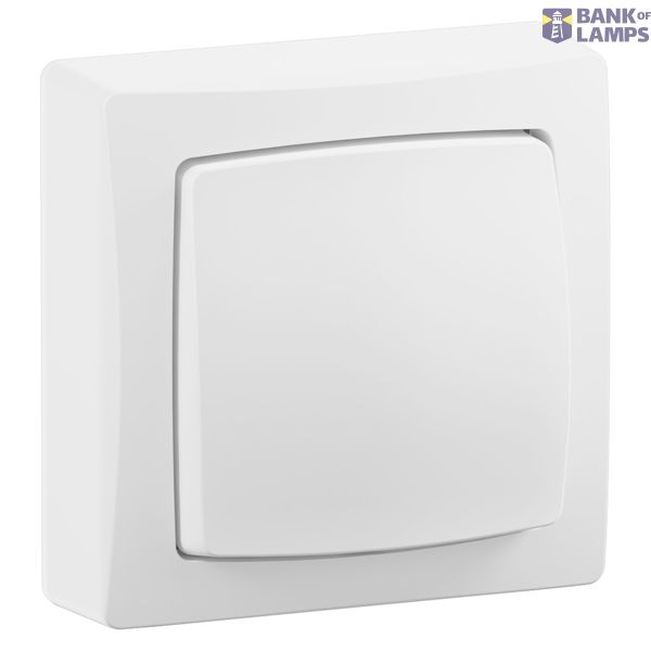 10AX double-pole switch or two-way switch - Surface mounted wiring device - Complete White image 1