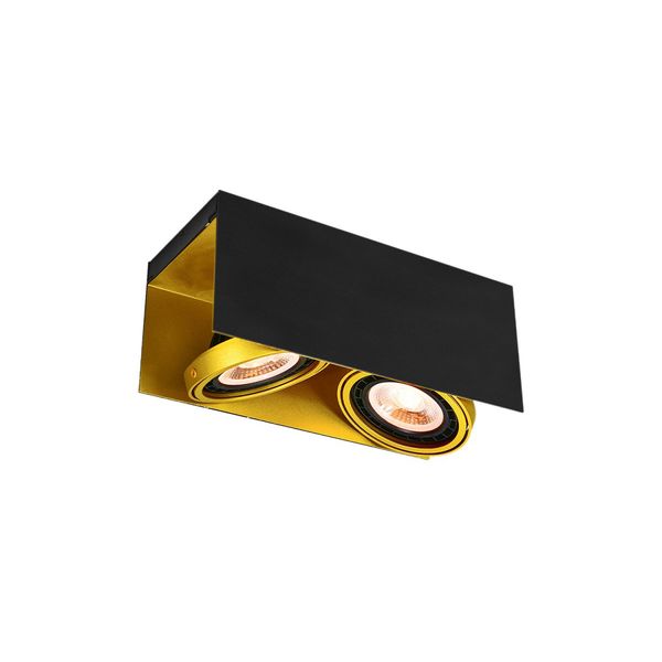 Ceiling fixture Verso,4212,AC220-240V, 50/60 Hz, IP 20,2*Gu10,ES111, double, black/gold image 1