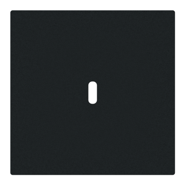 Central disc USB-C power supply insert 65W Busch-art linear® image 1