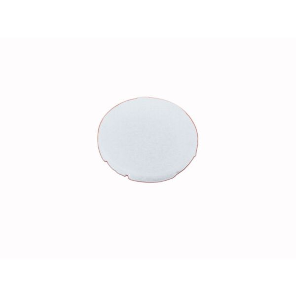 M22-XD-W Button plate, flat white, blank image 1