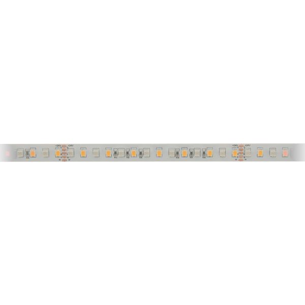 FS 80, RGB+UWW, Ra90+, 20W/m, 24VDC, IP44, l=5m image 1
