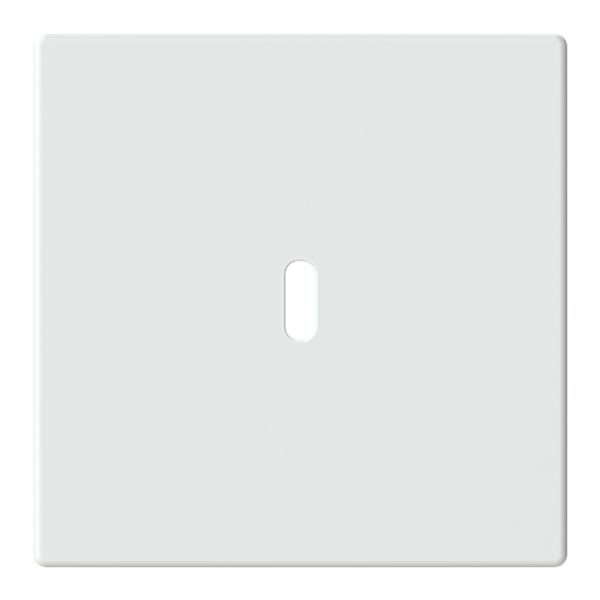 Central disc USB-C power adapter insert 65W image 1