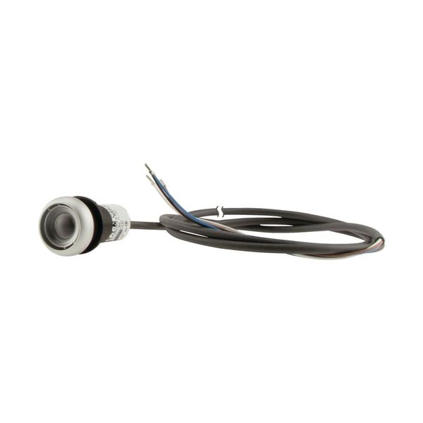 C22-DR-X-K01-P62 Pushbutton, classic, flat, maintained, 1 N/C, cable (black) with non-terminated end, 4 pole, 1 m image 15