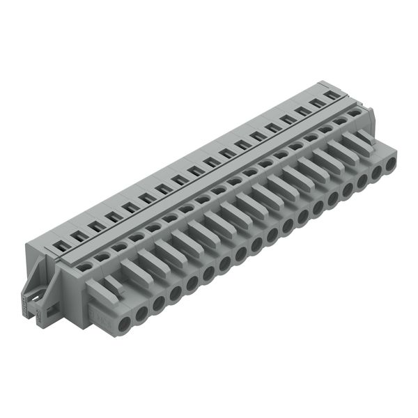 1-conductor female connector CAGE CLAMP® 2.5 mm² gray image 1